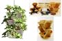 Complete Strawberry Growing Kit: Garden Stacker Planter + Indoor Strawberry Garden Starter Kit - Makes a Great Gift Idea