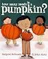 How Many Seeds in a Pumpkin?