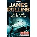 Im Dreieck des Drachen: Roman