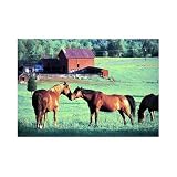 Kissing Horses 200 pc Jigsaw Puzzle by Melissa & Doug