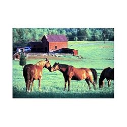 Kissing Horses 200 pc Jigsaw Puzzle by Melissa & Doug