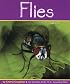 Flies (Insects)