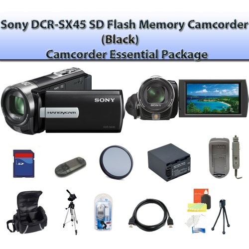 black friday price Sony SX45