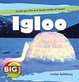 Igloo : could you live in a house made of snow?