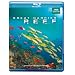 Great Barrier Reef [Blu-ray]