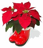 Santa's Boots