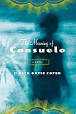 The Meaning of Consuelo: A Novel (Bluestreak)
