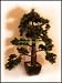 Artificial Japanese Pine Bonsai Tree 4ft/120cm hand built with natural bark