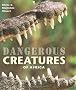 Dangerous Creatures of Africa: Understand, Identify, Avoid, Survive
