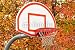 Wallmonkeys Peel and Stick Wall Decals - Basketball Hoop with with Autumn Trees in Background - Removable Graphic