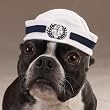 Dog Hat - Sailor Cap for Dogs - Medium (M)