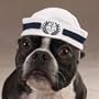 Dog Hat - Sailor Cap for Dogs - Large (L)