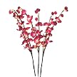 Lighted Cherry Blossom with 3 Branches - 40"