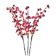Lighted Cherry Blossom with 3 Branches - 40"