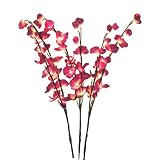 Lighted Cherry Blossom with 3 Branches - 40