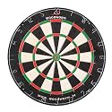 Woodworm Bristle Dart Board