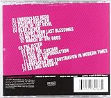 Underclass Hero 画像