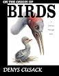 On the Origin of Birds: a journey through time