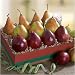Golden State Pears to Compare Ultimate
