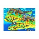 Caribbean Gold by Daniel Jean-Baptiste - 33x24"