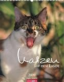 Katzen auf dem Lande 2009