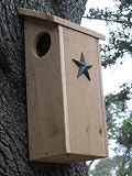 Lone Star Squirrel House