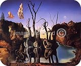 Artist Salvador Dali Fine Art MOUSE PAD Reflections of Elephants