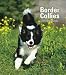 Border Collies 2009 Hardcover Weekly Engagement Calendar by BrownTrout Publishers Inc