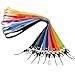 ColorYourLife 10 PCS Colorful Neck Straps Office Lanyards for ID Card Badge Holder, Keychain, Camera, Cell Phone, iPod, USB Flash Drive and Other Portable Items (Multi-Color (19 inch 10pcs))