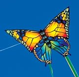 Butterfly Single Line Kite