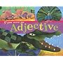 If You Were an Adjective (Word Fun)