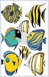 51Dnp3L2dtL. SL160  Buy Tropical Fish Tanks