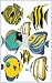 Tropical Tangs Decorative Switchplate Cover