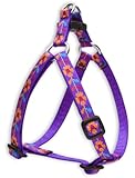 LupinePet 1/2-Inch Spring Fling 12-Inch to 18-Inch Step In Dog Harness
