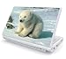 Baby Polar Bear Cub Design Skin Cover Decal Sticker for Toshiba Mini NB205 10.1 inch Netbook Laptop Computer
