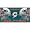 Miami Dolphins