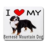 I Love My Bernese Mountain Dog