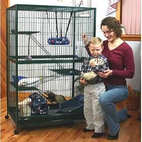Marshall Folding Ferret Mansion