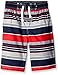 Nautica Boys' Stripe Printed Swim Trunk