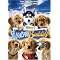 Siberian Husky Movies