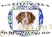 Brittany Mouse Pad Dog Mousepad "Creation"