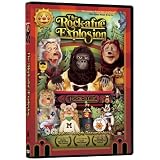 The Rock-afire Explosion