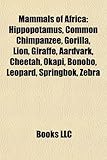 Mammals of Africa: Hippopotamus, Common Chimpanzee, Gorilla, Lion, Giraffe, Aardvark, Cheetah, Okapi, Bonobo, Leopard, Springbok, Zebra-