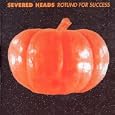 Rotund for Success