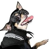 San Antonio Spurs Black Mesh Small Pet Bandana (Medium/Large)