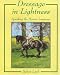 Dressage in Lightness: Speaking the Horse's Language