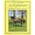 Dressage in Lightness