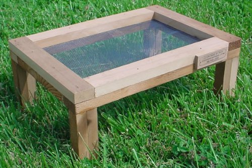 Ground Feeder