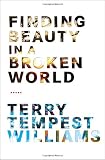 Finding Beauty in a Broken World