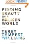 Finding Beauty in a Broken World
